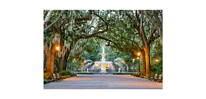 Savannah Fountain Picture